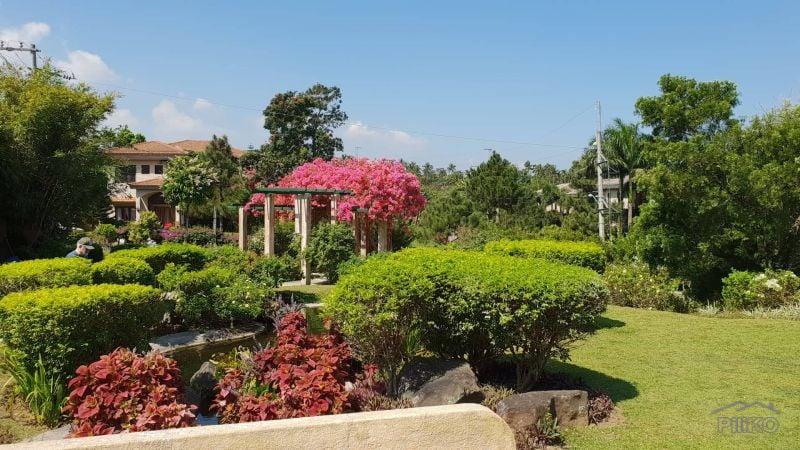 Residential Lot for sale in Silang - image 15