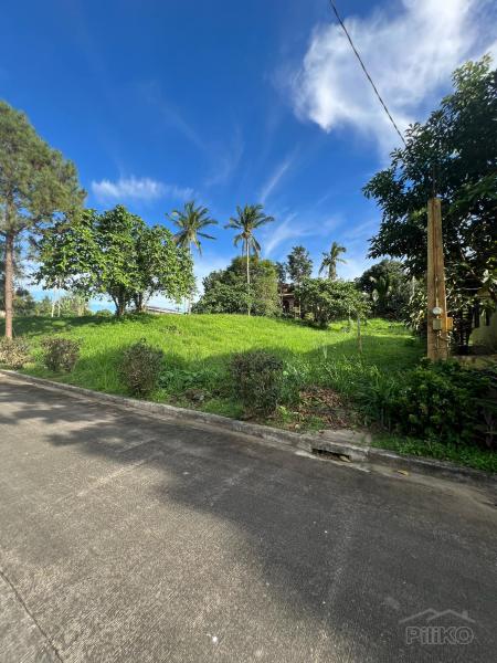 Residential Lot for sale in Silang - image 4
