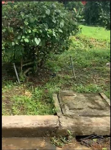Residential Lot for sale in Silang - image 6