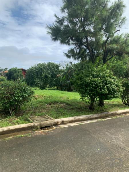 Residential Lot for sale in Silang - image 9
