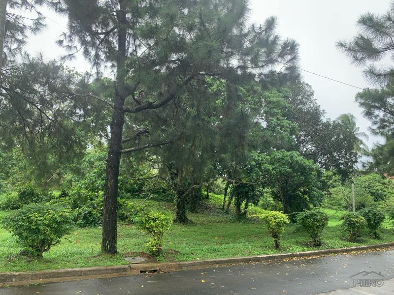 Land and Farm for sale in Silang - image 10