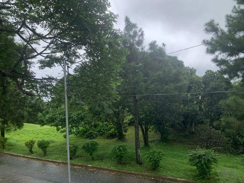 Land and Farm for sale in Silang - image 11