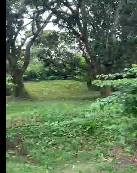 Land and Farm for sale in Silang - image 12