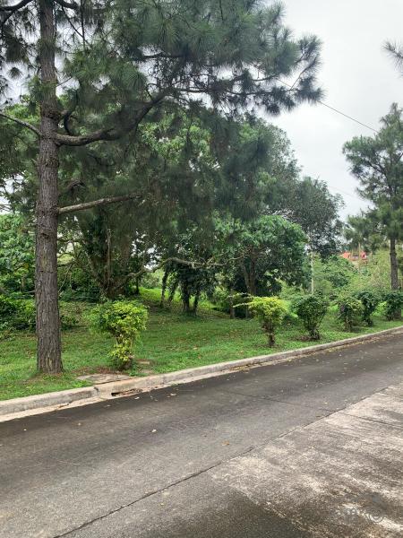 Land and Farm for sale in Silang - image 3