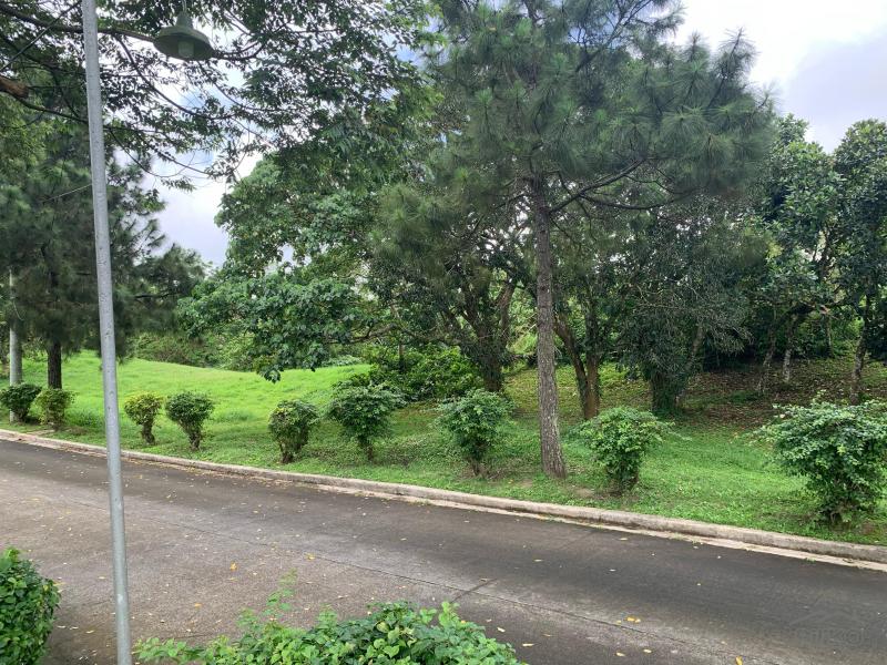 Land and Farm for sale in Silang - image 4