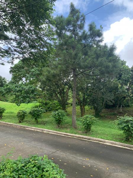 Land and Farm for sale in Silang - image 5