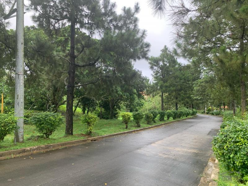 Land and Farm for sale in Silang - image 6