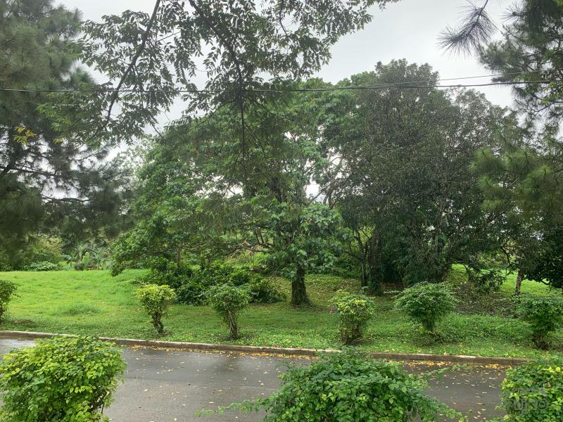Land and Farm for sale in Silang - image 7