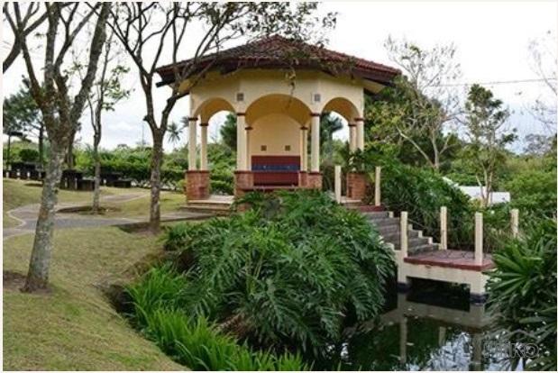 Land and Farm for sale in Silang - image 16