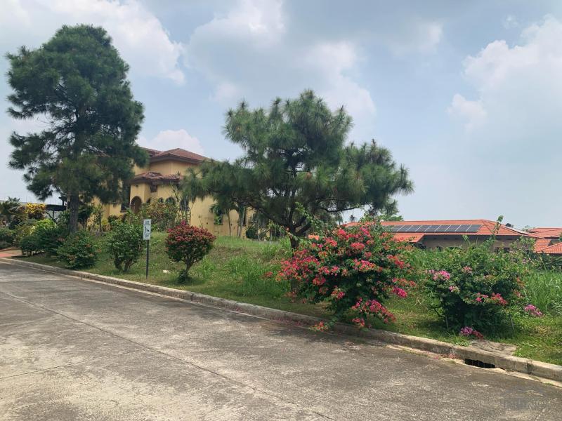 Land and Farm for sale in Silang - image 3