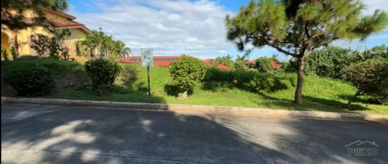 Land and Farm for sale in Silang - image 4