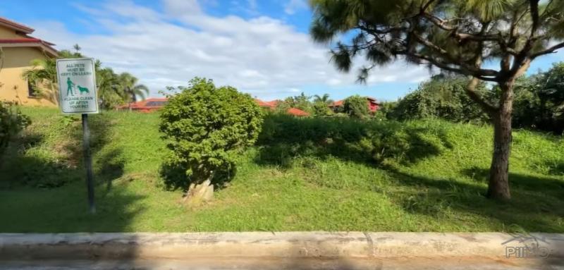 Land and Farm for sale in Silang - image 5