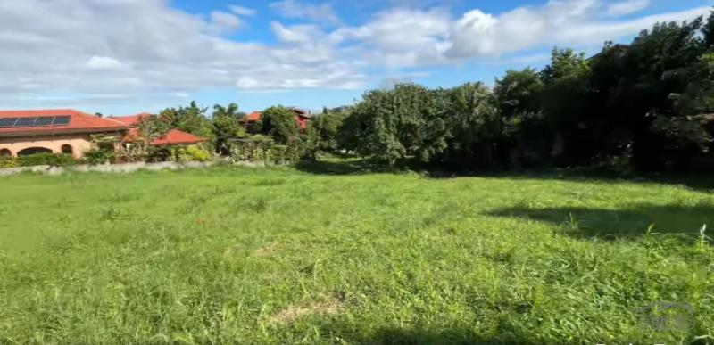 Land and Farm for sale in Silang - image 6