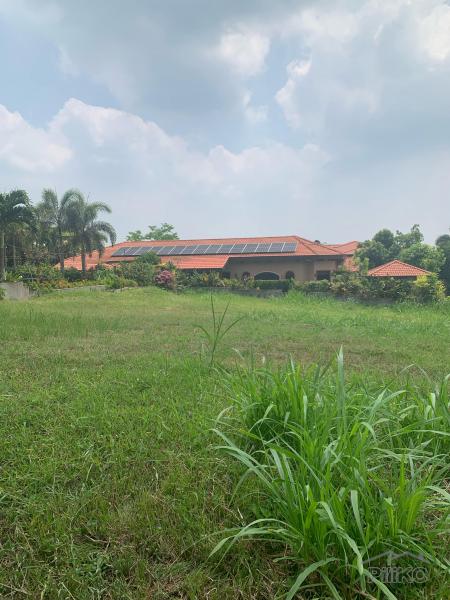 Land and Farm for sale in Silang in Cavite - image