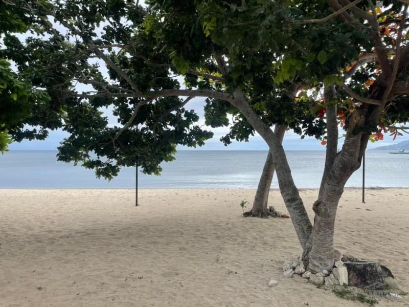 Residential Lot for sale in San Juan - image 12