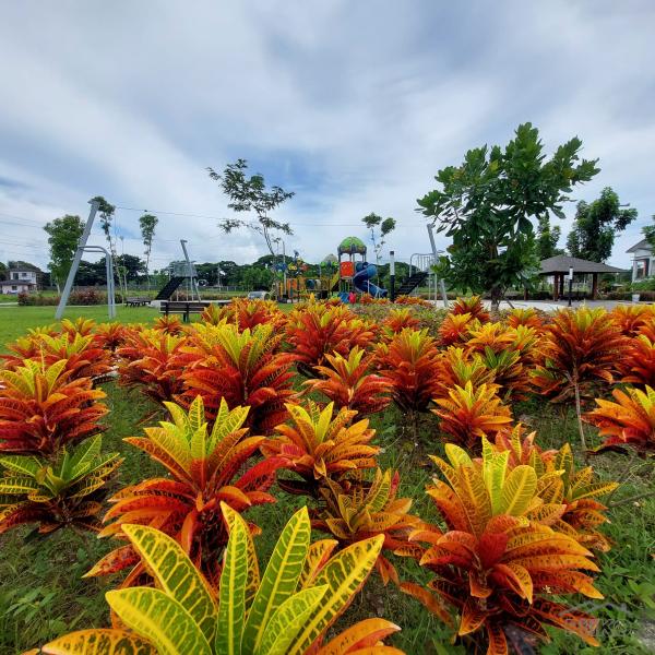 Residential Lot for sale in San Juan - image 14