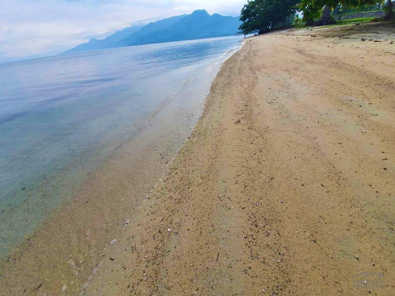 Residential Lot for sale in San Juan in Batangas