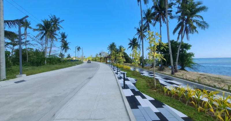 Residential Lot for sale in San Juan in Philippines