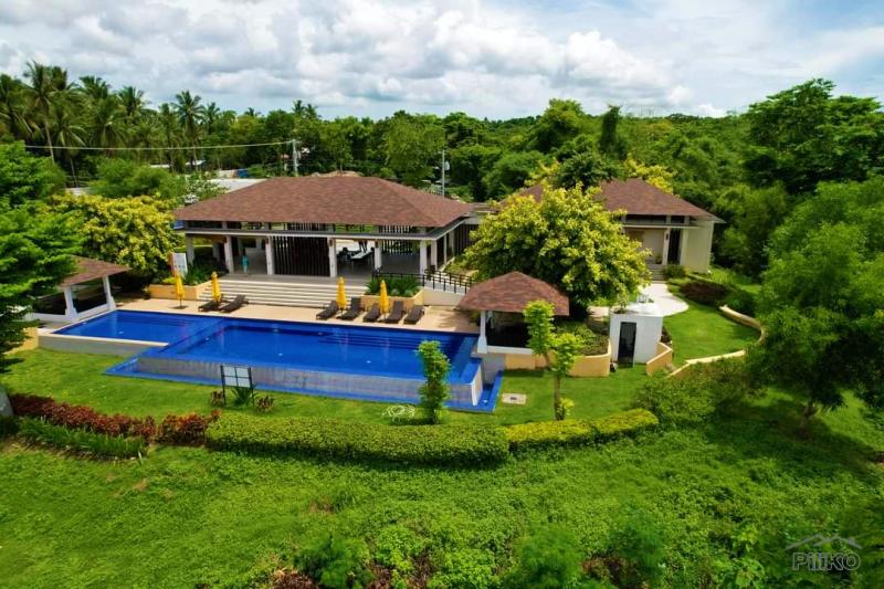 Residential Lot for sale in San Juan in Batangas - image