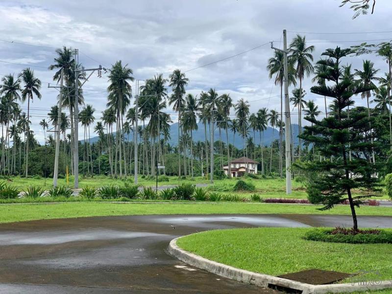 Land and Farm for sale in Tiaong - image 10