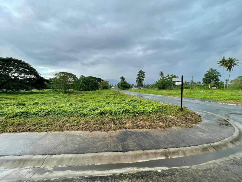 Land and Farm for sale in Tiaong - image 12