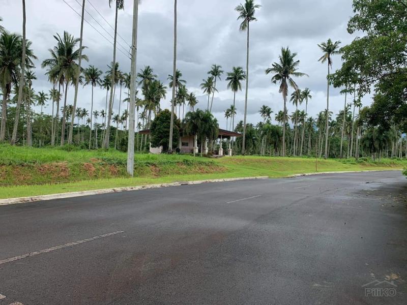 Land and Farm for sale in Tiaong - image 13