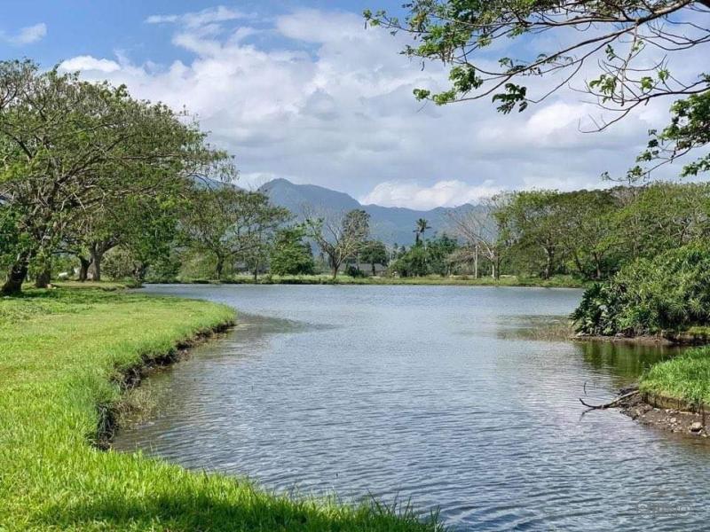 Land and Farm for sale in Tiaong - image 14