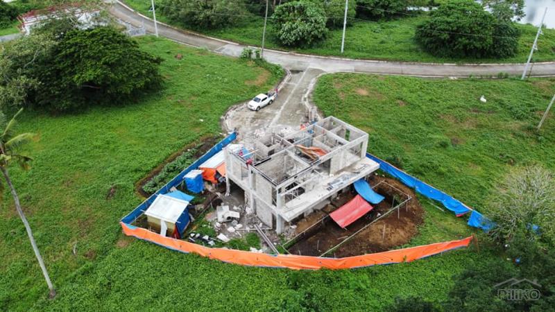Land and Farm for sale in Tiaong - image 15