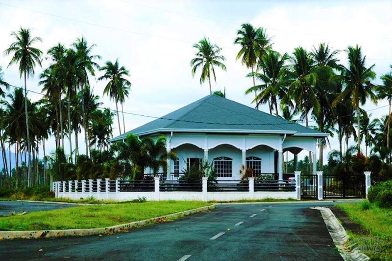 Land and Farm for sale in Tiaong - image 16