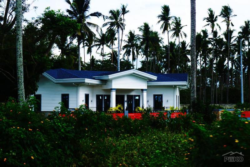 Land and Farm for sale in Tiaong - image 17