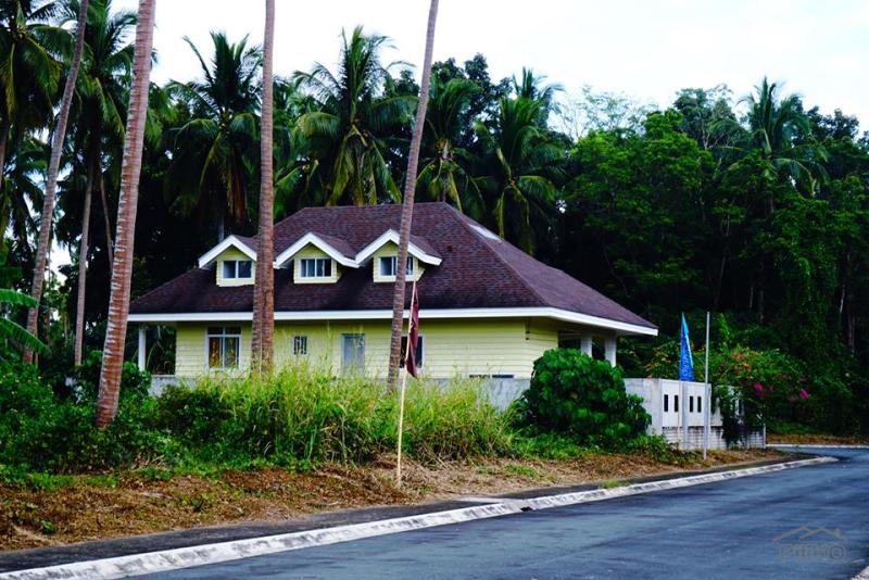 Land and Farm for sale in Tiaong - image 18