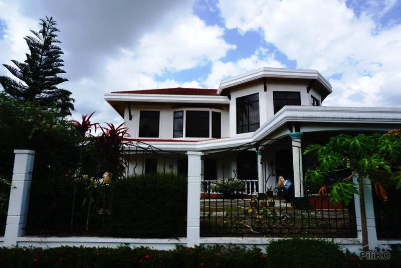 Land and Farm for sale in Tiaong - image 19