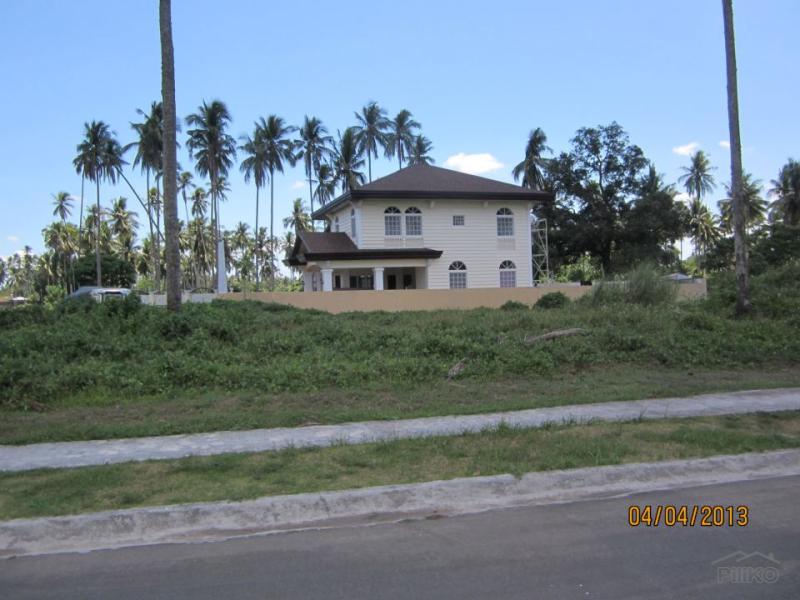 Land and Farm for sale in Tiaong - image 20