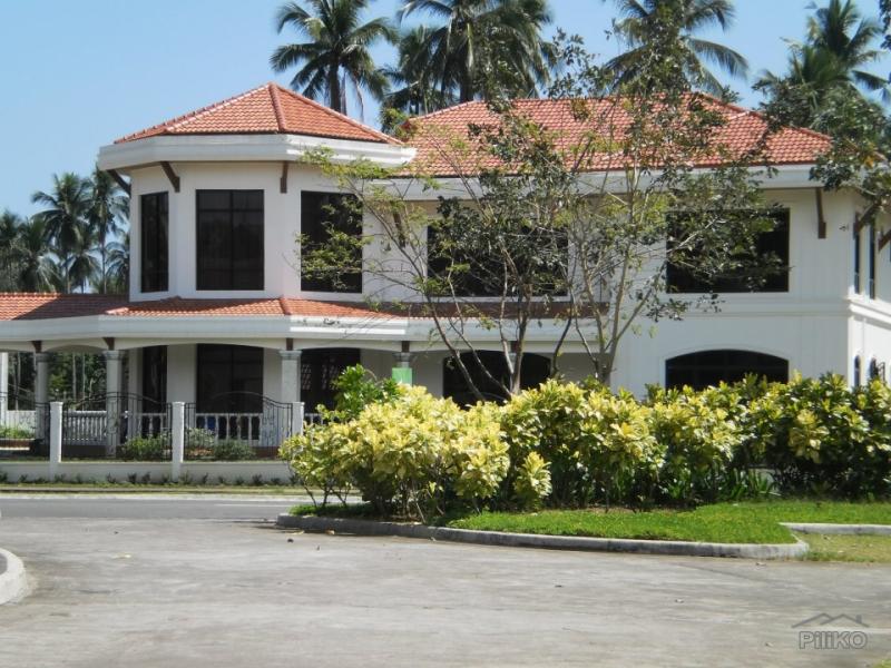 Land and Farm for sale in Tiaong - image 21