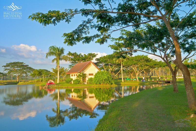 Land and Farm for sale in Tiaong - image 22