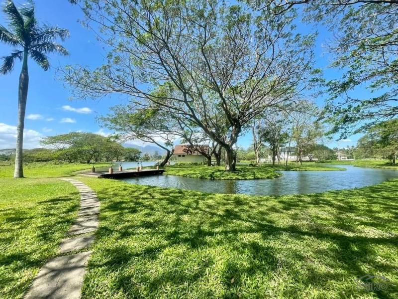 Land and Farm for sale in Tiaong