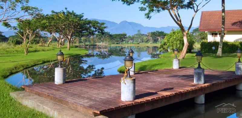 Land and Farm for sale in Tiaong in Quezon