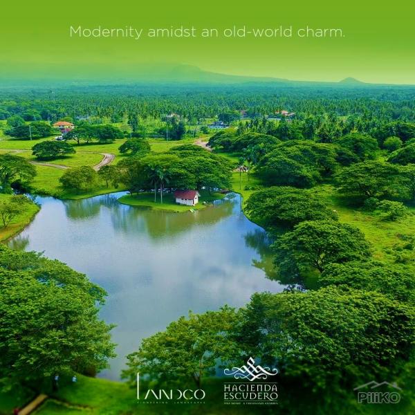 Land and Farm for sale in Tiaong in Philippines