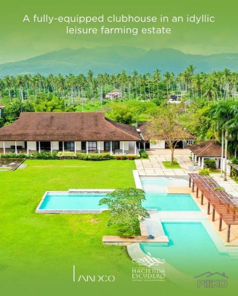 Picture of Land and Farm for sale in Tiaong in Quezon