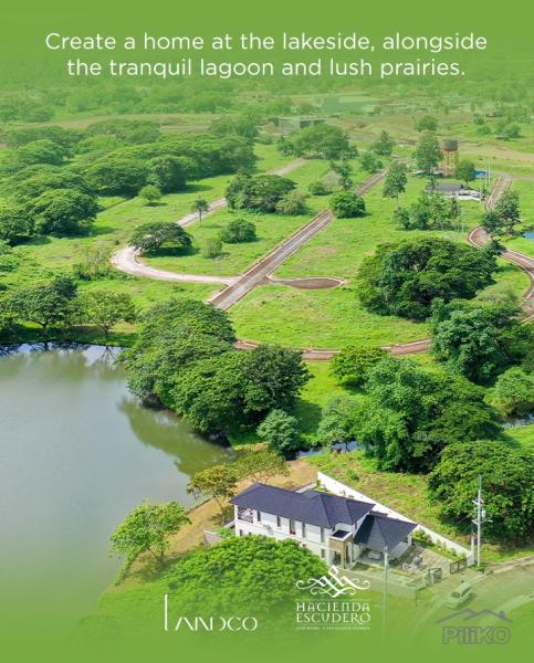 Picture of Land and Farm for sale in Tiaong in Philippines