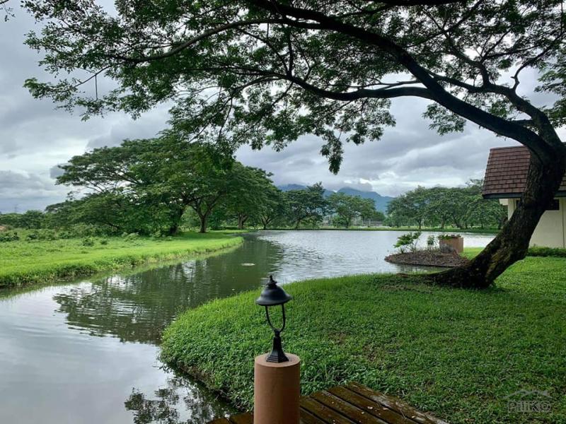 Land and Farm for sale in Tiaong in Quezon - image