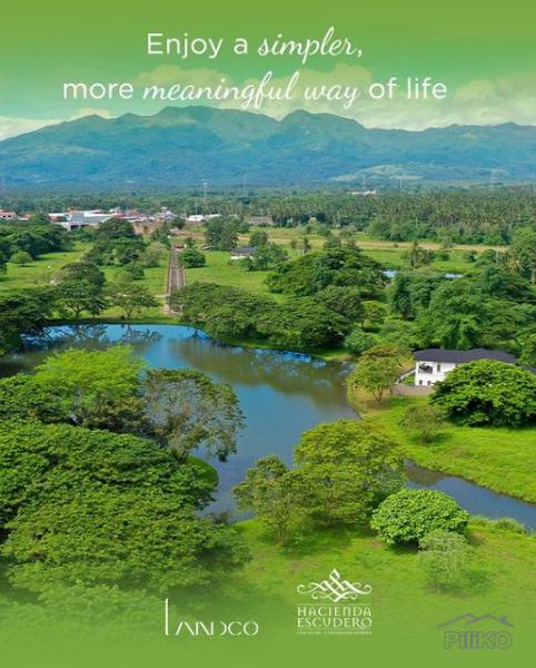 Land and Farm for sale in Tiaong in Philippines - image
