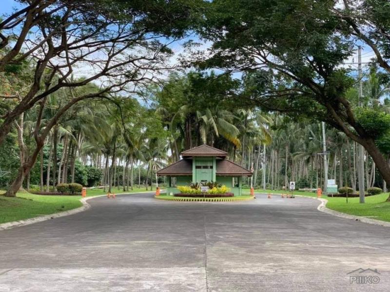 Land and Farm for sale in Tiaong - image 9