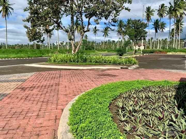 Lot for sale in San Pablo - image 13