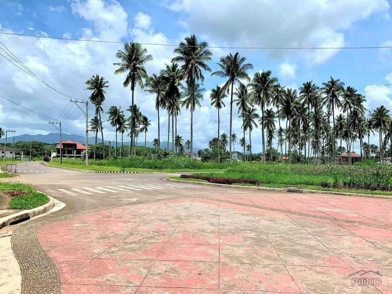 Lot for sale in San Pablo - image 23