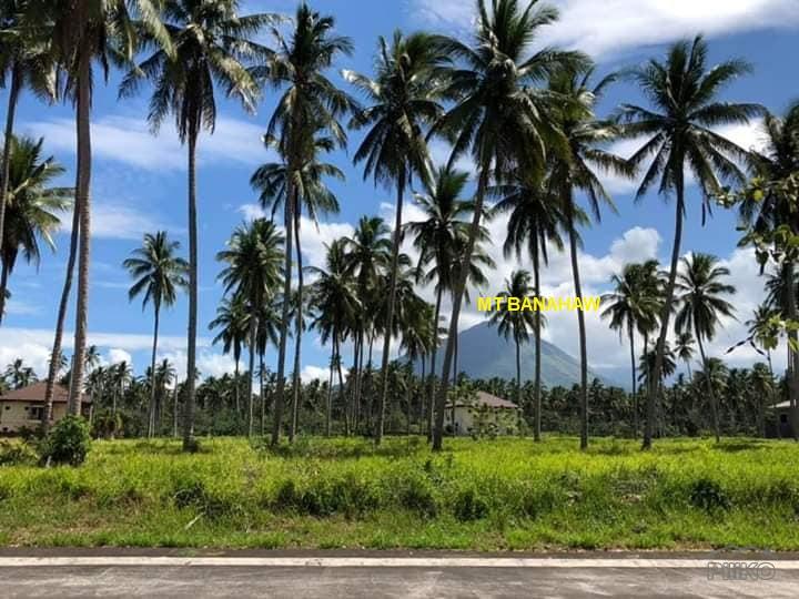 Lot for sale in San Pablo - image 7