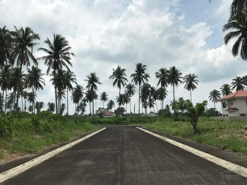 Lot for sale in San Pablo - image 9