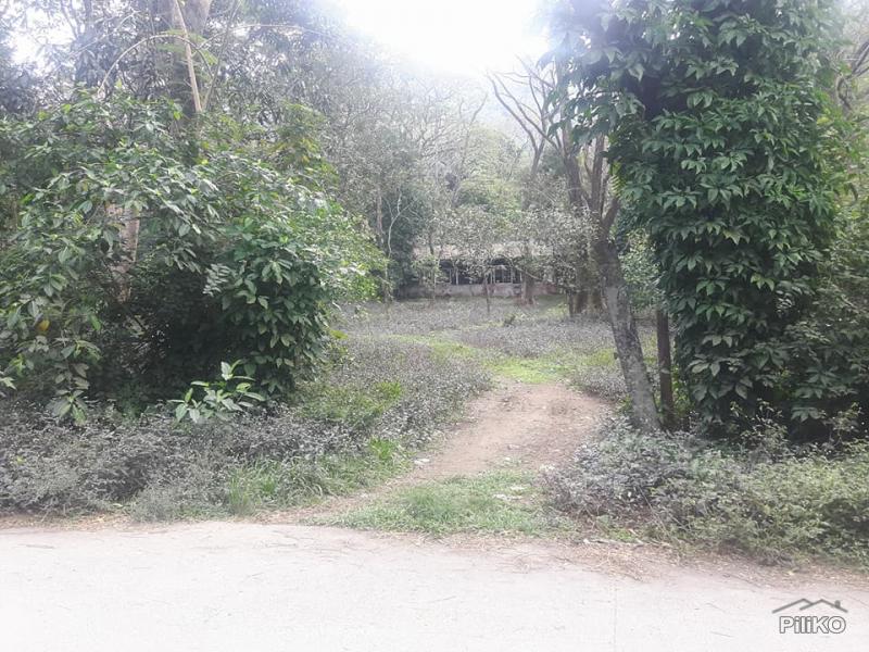 Residential Lot for sale in Rodriguez - image 2