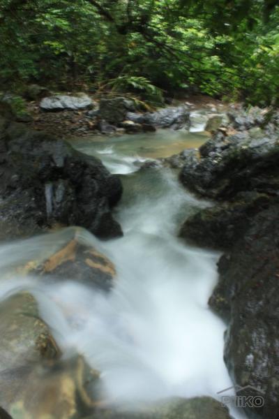 Residential Lot for sale in Baras - image 2