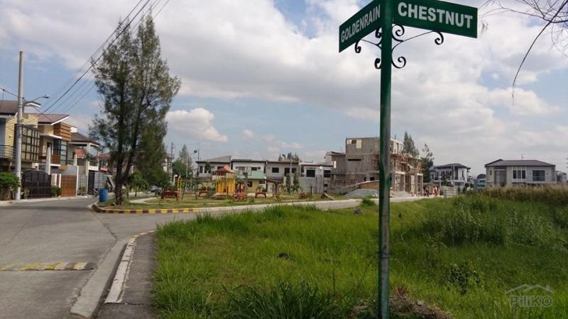 Residential Lot for sale in Pasig in Metro Manila